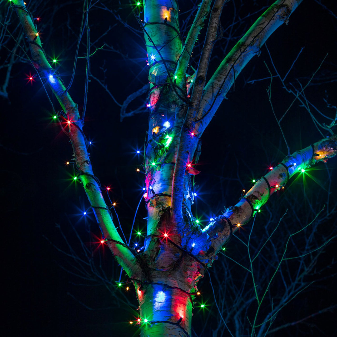 60m 600er LED Lichterkette bunt koppelbar schwarzes Kabel Pro Serie