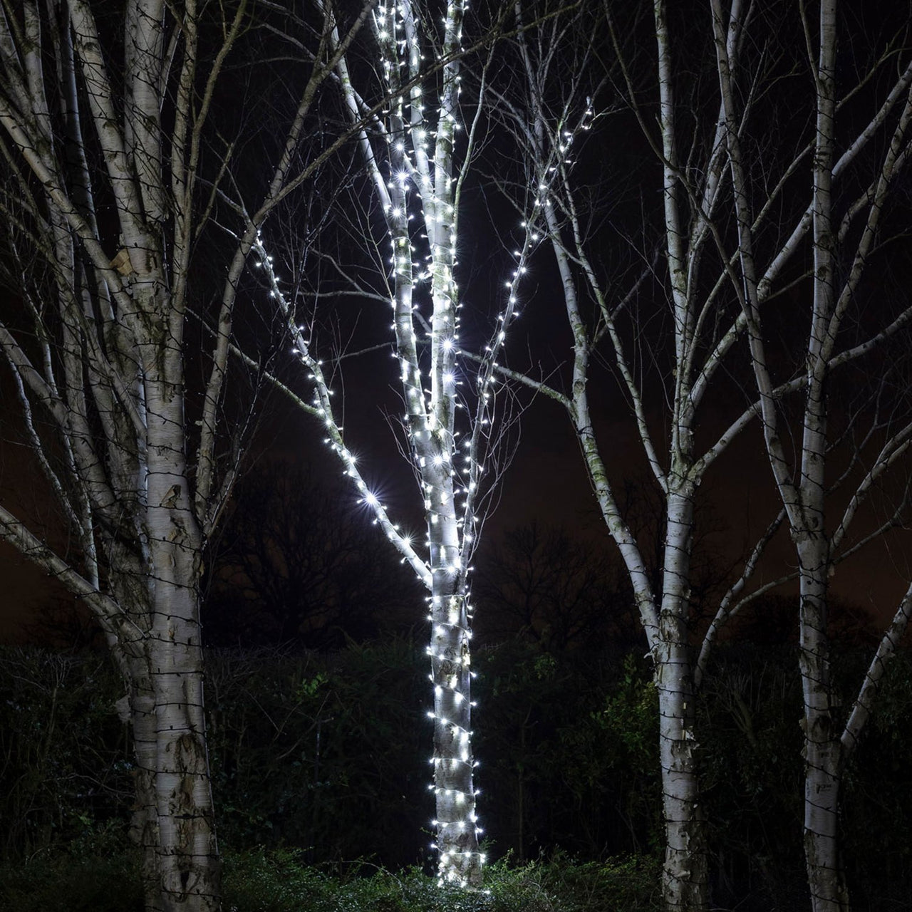 5m 50er LED Lichterkette weiß koppelbar weißes Kabel Pro Serie