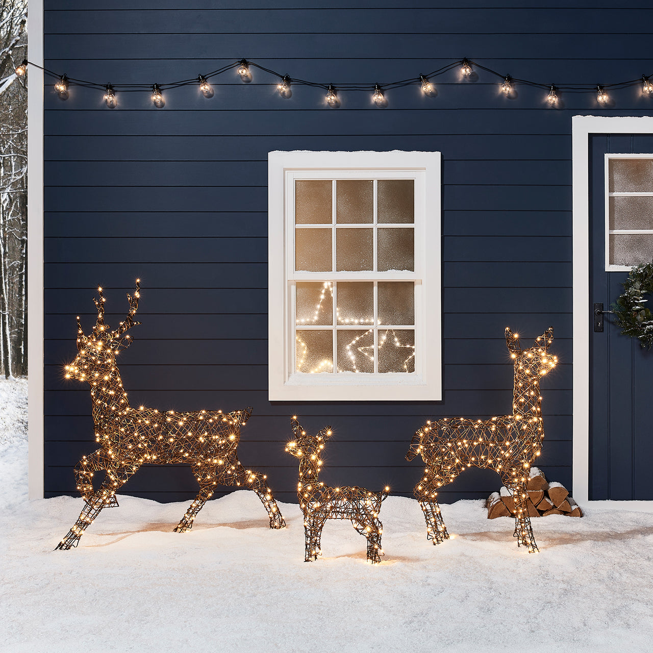 Beleuchtete Rentier-Familie im Schnee.
